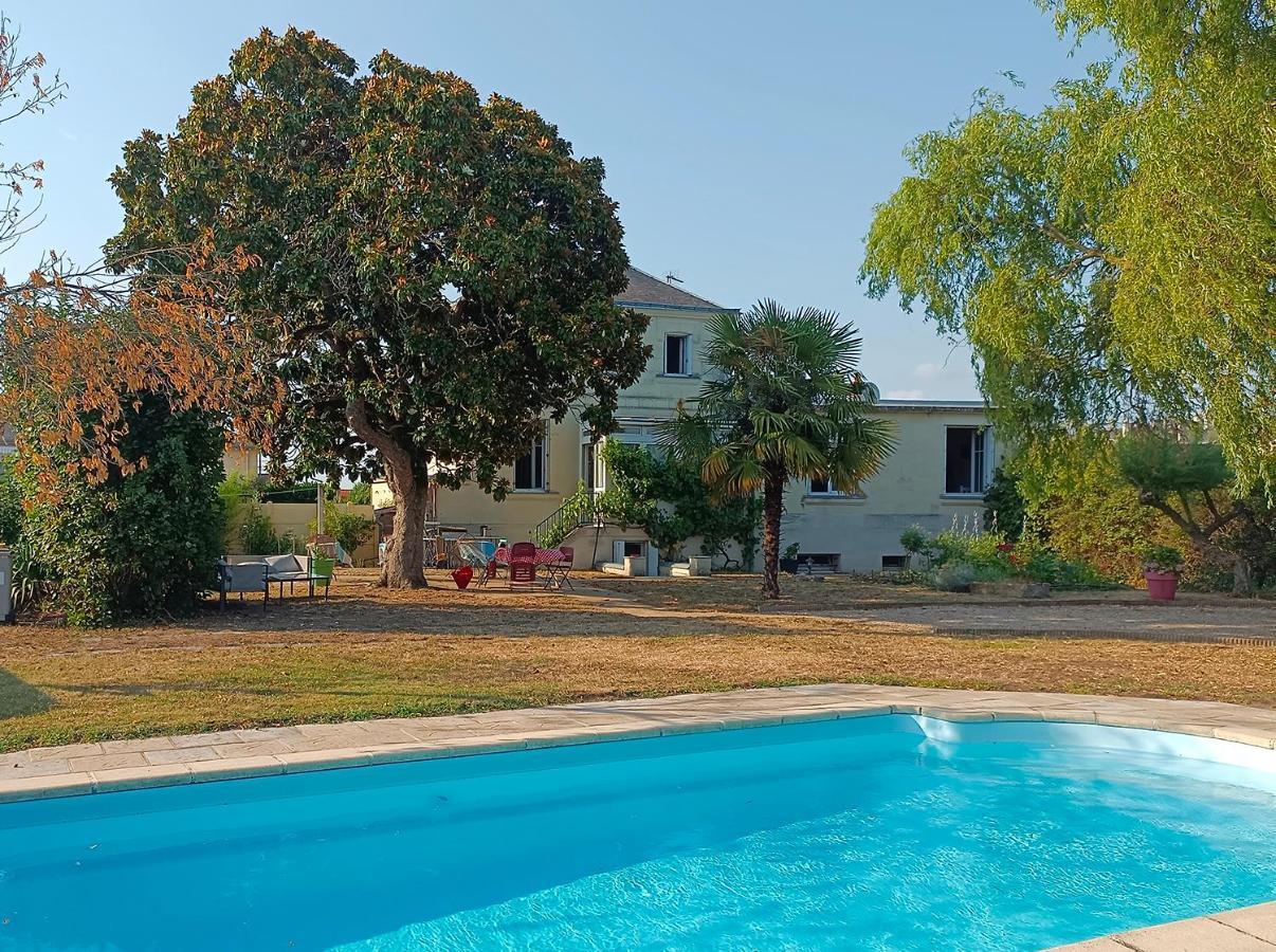 Le Magnolia, Chambre D'Hote Au Calme Saumur Εξωτερικό φωτογραφία